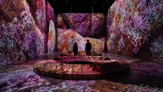 People standing in front of an interactive floral mural