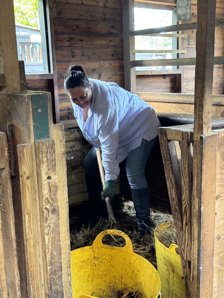 Woman cleaning up a barn