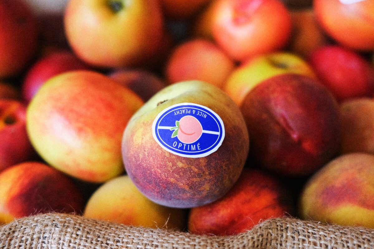 Pêches avec autocollant fruit lors de l'activation retail adidas