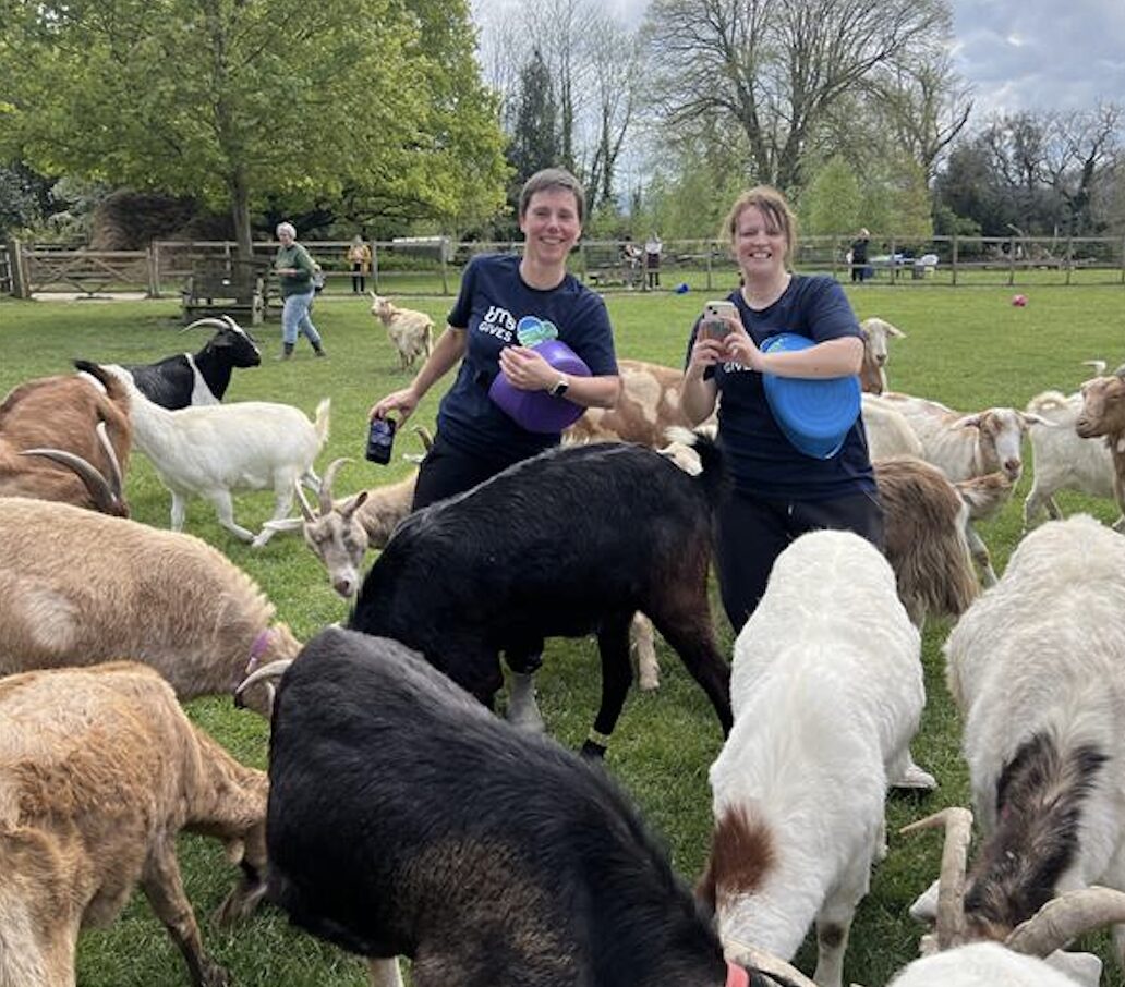 Two people smiling with a group of goats