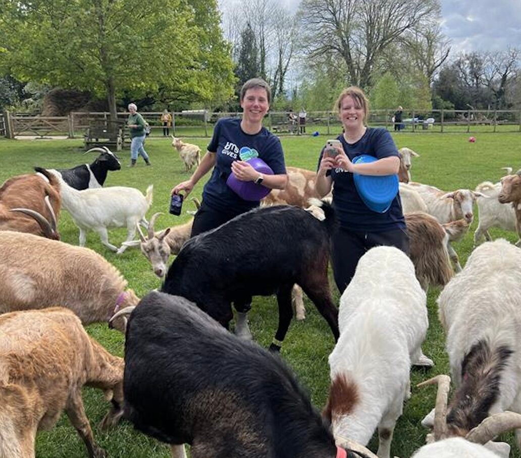 Two people smiling with a group of goats