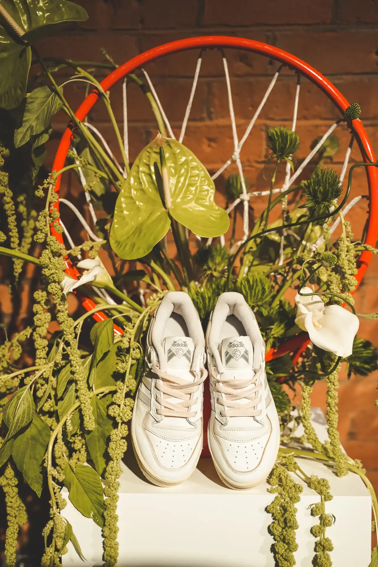basketball hoops with plants