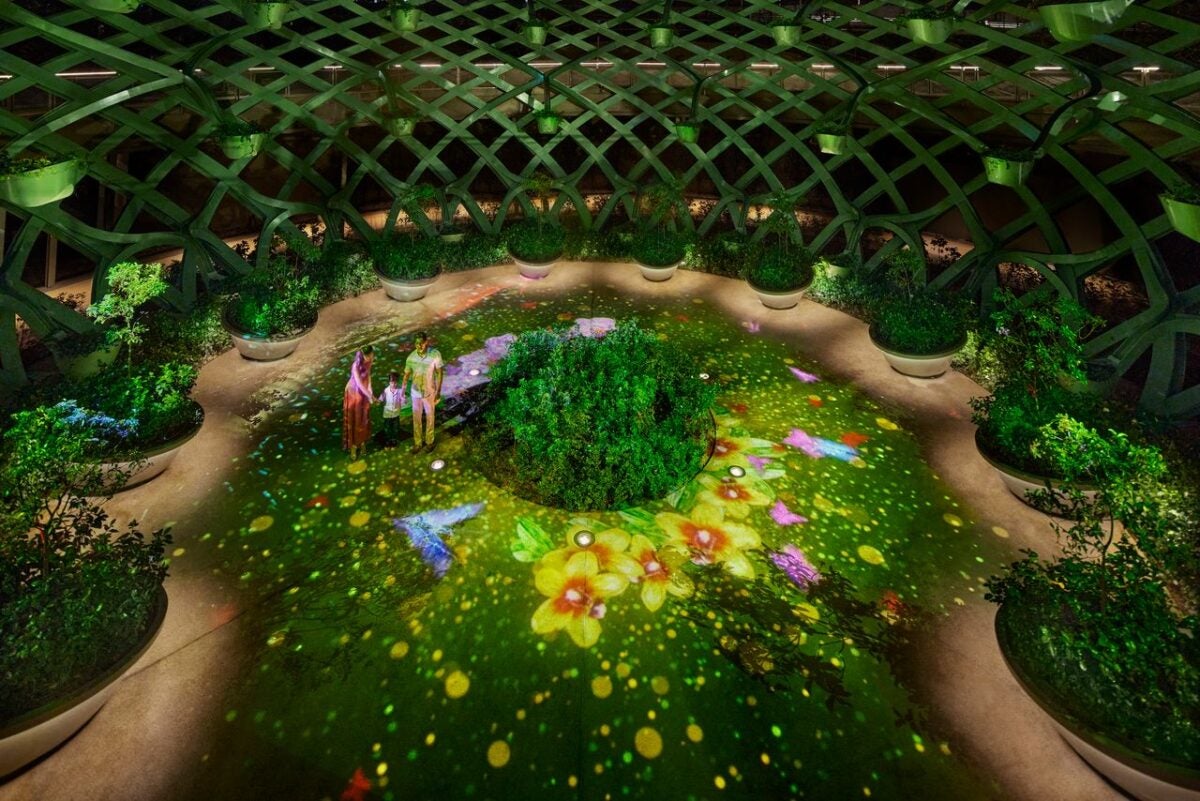 colourful green garden space